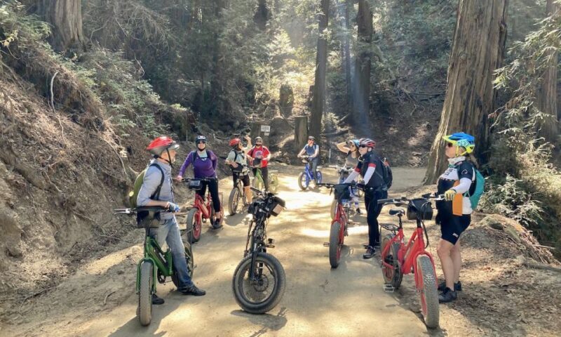Big Sur's Old Coast Road E-Bike Tour - A Closer Look at the Tour Itinerary and Experience