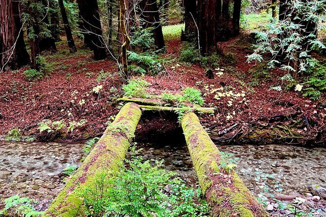 Big Sur's Old Coast Road eBike Tour - Riding Along the Old Coast Road