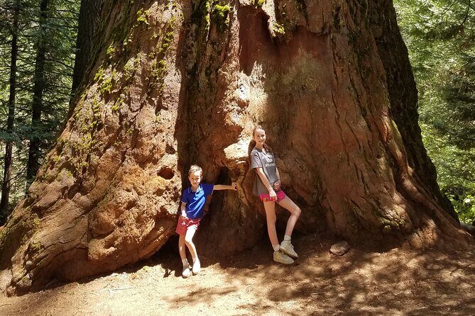 Big Trees Hike & Riverside Cookout Adventure - Final Thoughts: Is This the Yosemite Tour for You?