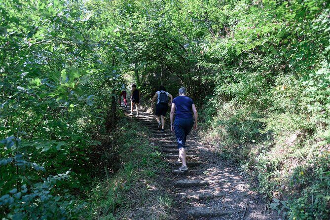 Bigorski Monastery and Duff Waterfalls from Ohrid & Struga. - Who Would Love This Experience