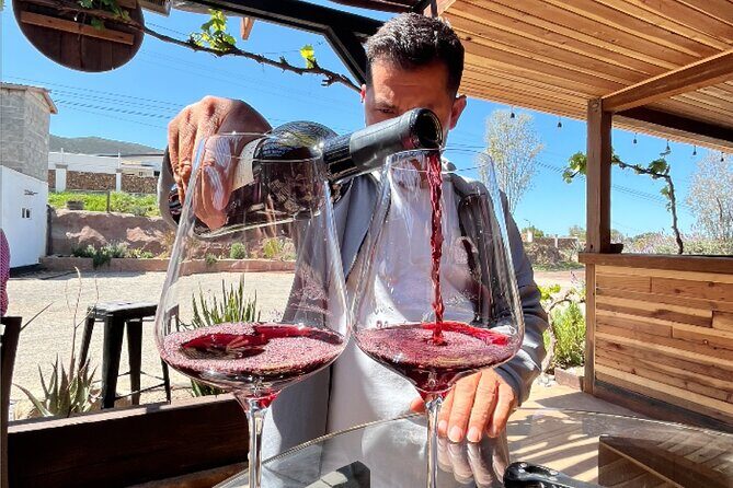 "Bike 2 wine", Exploring vineyards on a bike - Key Points