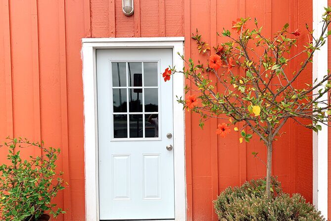 Bike Adventure Tour in Beverly Hills, Santa Monica and Venice - FAQs