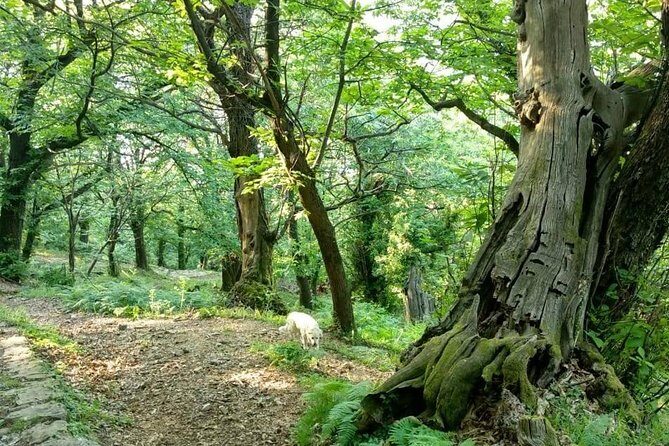 Bike & hike tour - FAQ