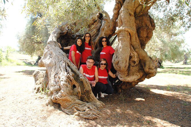 Bike oil tour in Monopoli - Who Is This Tour Best For?