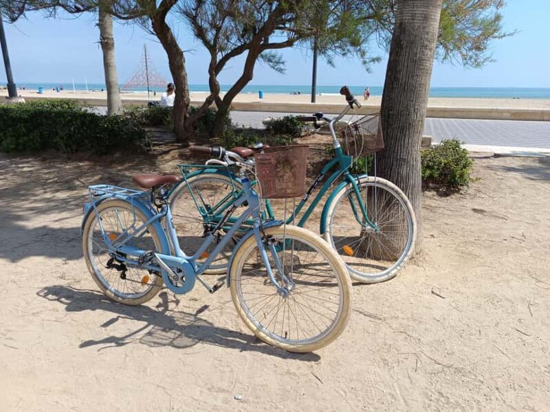 Bike rental in Playa Malvarrosa - Key Points