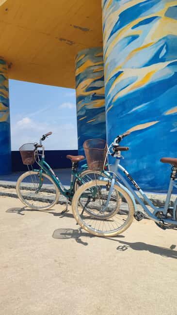 Bike rental in Playa Malvarrosa - Why Choose This Bike Rental in Playa Malvarrosa?
