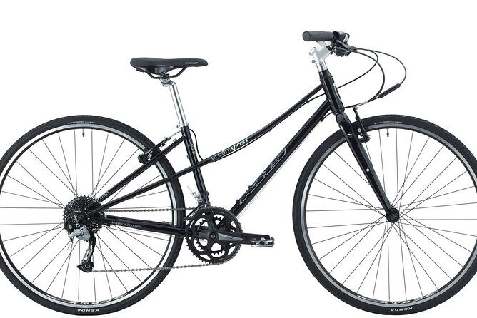 Bike Rental in South Lake Tahoe - The Value of This Bike Rental