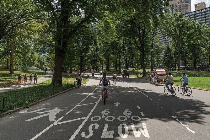 Bike Rental NYC Central Park - Why You Might Want to Rent a Bike in Central Park