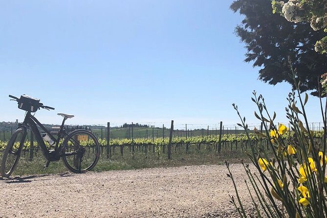 Bike Ride immersion val d'Orcia - What People Are Saying: Authentic Feedback