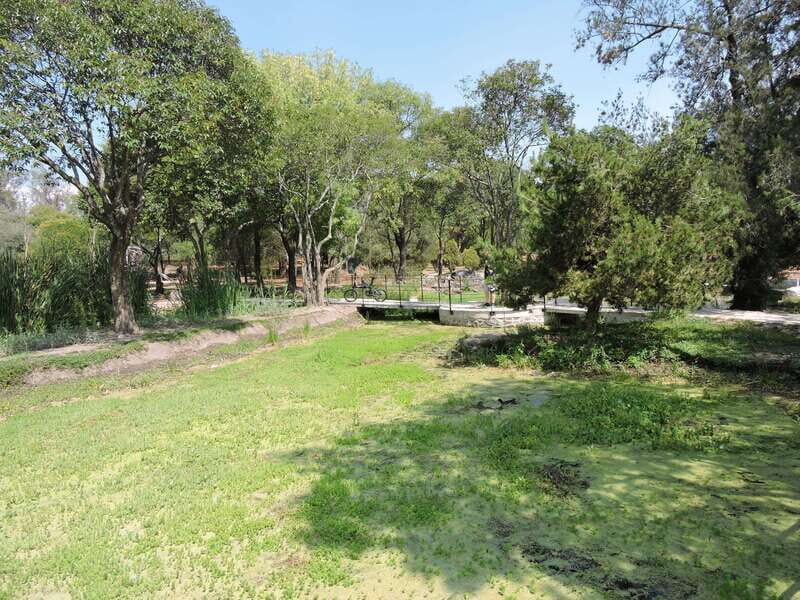 BIKE RIDE THROUGH ICONIC SITES OF THE CDMX / BREAKFAST & BEER - Final Thoughts