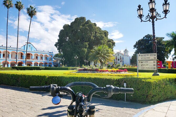 Bike Ride to the Largest Tree in the World - Exploring the Bike Ride to the Largest Tree in the World: A Friendly Guide
