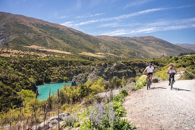 Bike The Wineries (1/2 Day) - Quick Pedal to Pinot - The Sum Up