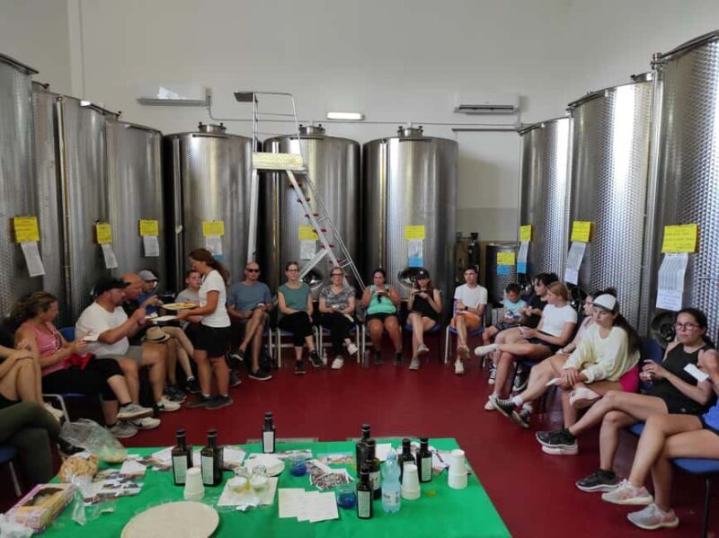 Bike Tour among the Ancient Olive Trees with EVO Oil Tasting - The EVO Oil Tasting