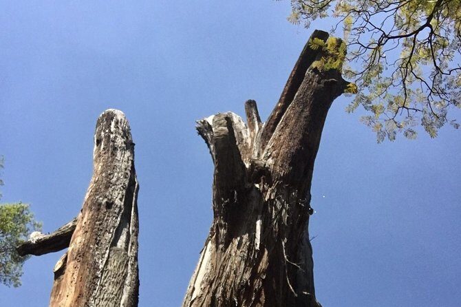 Bike Tour in Mexico City - Final Thoughts: Is It Worth It?