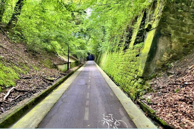 Bike Tour in San Sebastián with FREE pintxo and drink! - Why the Food and Drink Make This Stand Out