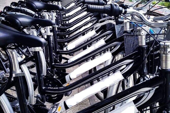 Bike Tour in San Sebastián with FREE pintxo and drink! - Final impressions