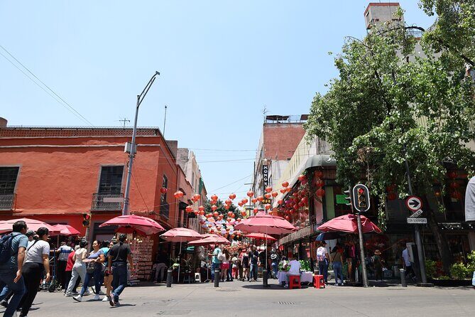 Bike Tour through Chapultepec, Reforma and the Zócalo / Mexico - Practical Tips for Your Bike Tour