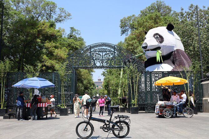Bike Tour through Chapultepec, Reforma and the Zócalo / Mexico - Who Should Consider This Tour?