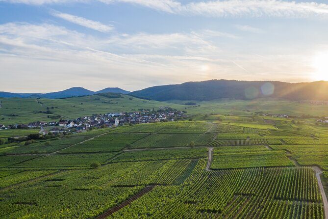 Bike tour with a local - Final Thoughts