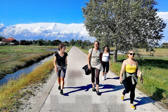 Bike tour with honey and artichockes on SantErasmo island - Discovering Sant’Erasmo: What the Tour Offers