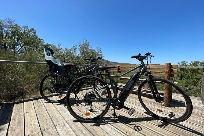 Bike Tours in Marvão - Exploring the Details of the Marvão Bike Tour
