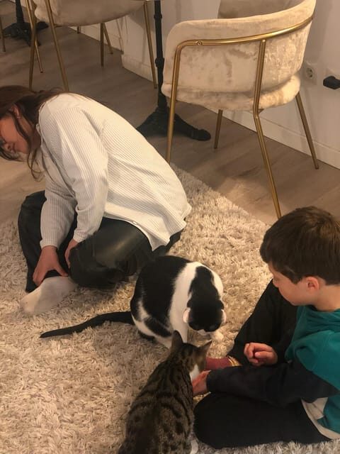 Bilbao: 1 Hour Entry Ticket to a Cat Café - FAQs