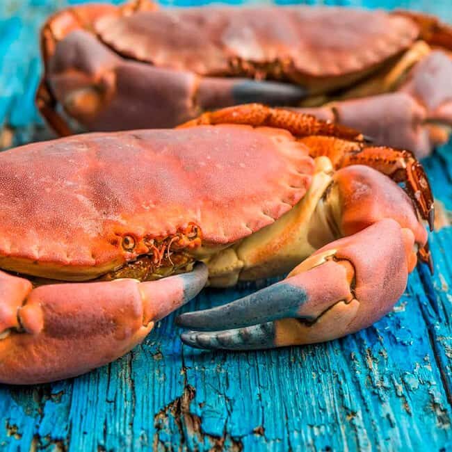 Bilbao: Guggenheim Secrets & Savor the Seas Treasures. VIP - Key Points