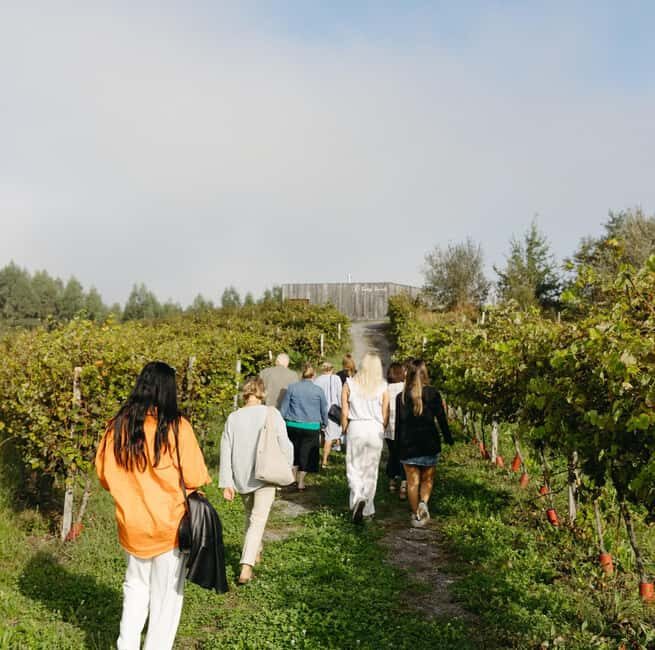 Bilbao: Txakoli and Local Flavors in the Urdaibai Biosphere - Final Thoughts