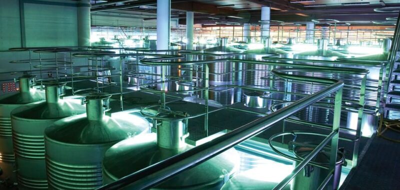 Bilbao Txakoli Wine Tour - FAQ — Quick Answers for Curious Travelers