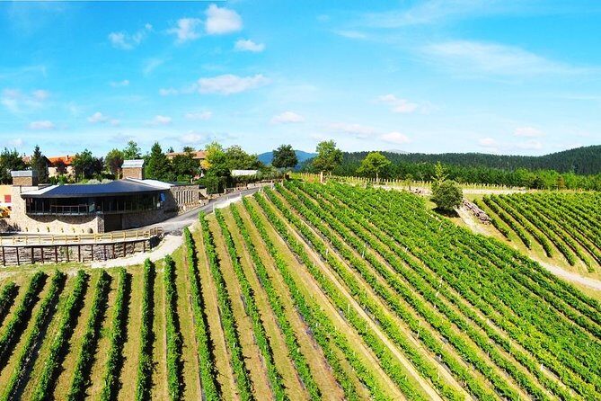 Bilbao Txakoli Wine Tour - FAQs About the Bilbao Txakoli Wine Tour