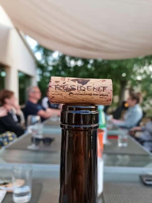 Binissalem: Individual vineyard tour and wine tasting in German - Key Points