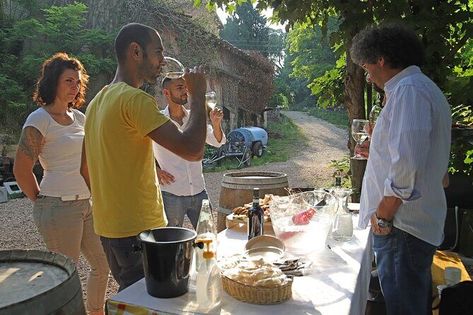 Biodynamic Farm and Natural Wines Tasting in Lazise - What to Expect from the Biodynamic Farm and Wine Tasting Tour