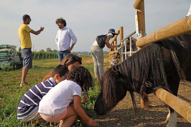 Biodynamic Farm and Natural Wines Tasting in Lazise - FAQs