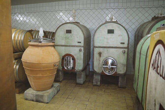 Biodynamic Wine Tasting with Producer in Vinci - Who Will Love This Experience?