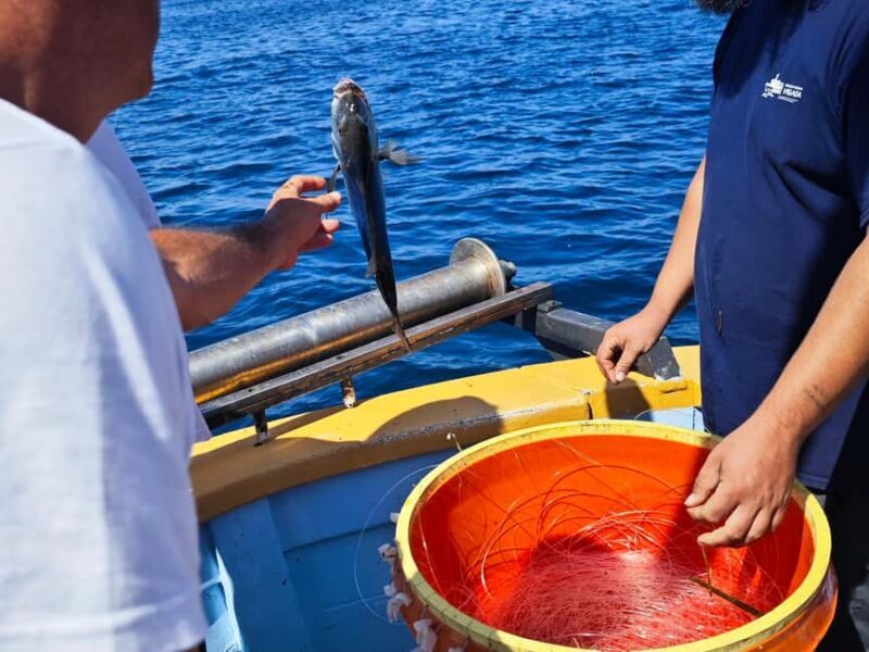 Biograd: Authentic Family friendly Fishing tour in Croatia. - Why travelers love this experience