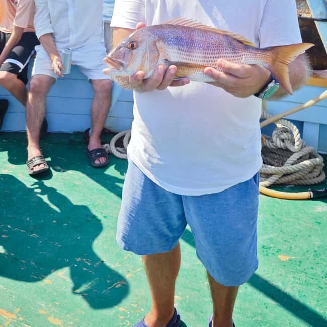 Biograd: Authentic Family friendly Fishing tour in Croatia. - Downsides or considerations