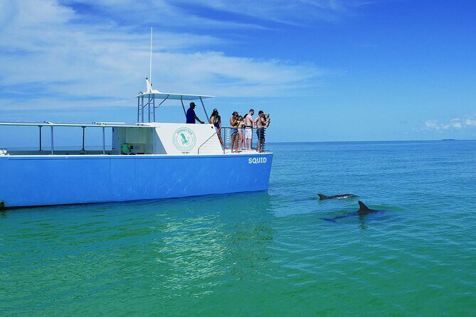 Biologist Owned & Operated: Dolphin Watching & Guided Snorkeling - Frequently Asked Questions