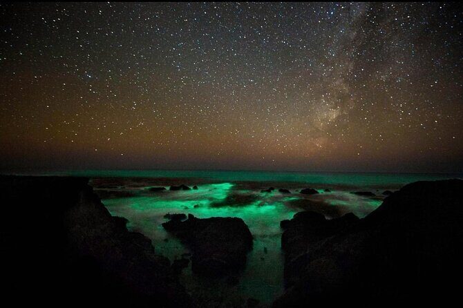Bioluminescence and Sunset Kayak Tour in the San Juan Islands - An In-Depth Look at the Experience