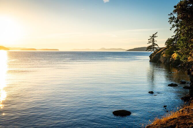 Bioluminescence and Sunset Kayak Tour in the San Juan Islands - Final Thoughts