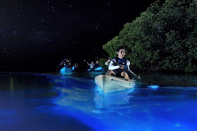 Bioluminescence Clear Kayak or Paddleboard Tour Near Orlando - Exploring the Bioluminescence Clear Kayak and Paddleboard Tour Near Orlando