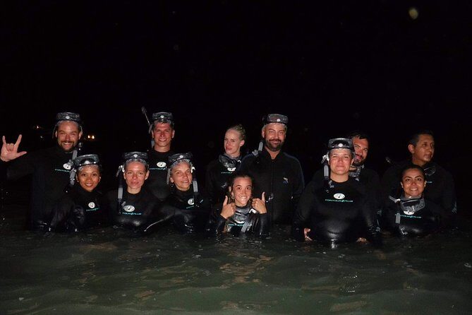 Bioluminescence Experience in Holbox - What Is This Tour All About?