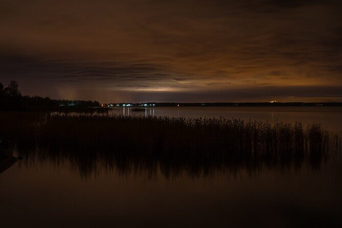 Bioluminescence from Puerto Escondido - What to Expect from the Tour
