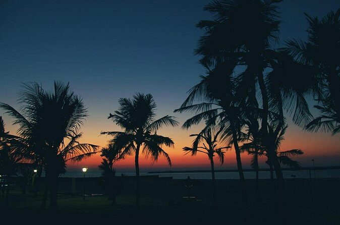 Bioluminescence from Puerto Escondido - The Sum Up
