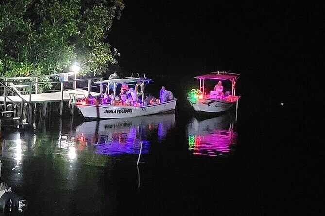 Bioluminescence in Manialtepec Night Tour from Huatulco - An In-Depth Look at the Tour