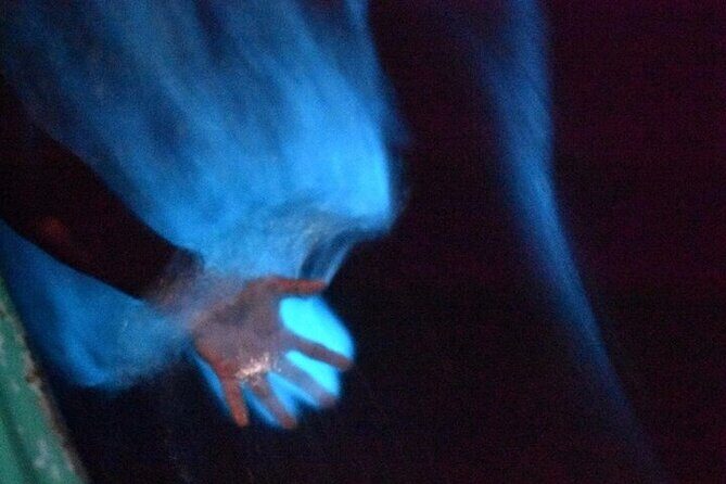 Bioluminescence in Manialtepec Night Tour from Huatulco - Additional Activities and Flexibility