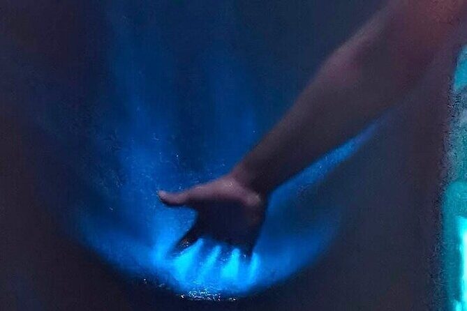 Bioluminescence in Manialtepec Night Tour from Huatulco - Conclusions