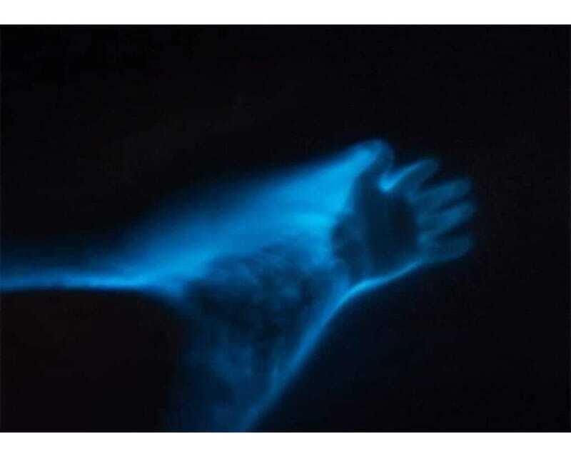 BIOLUMINESCENCE IN PUERTO ESCONDIDO - FAQ