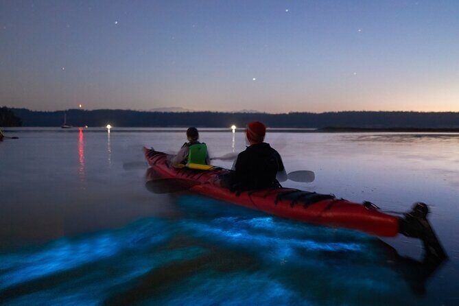 Bioluminescence Kayak Tour at Fort Flagler State Park - A Guide to the Bioluminescence Kayak Tour at Fort Flagler State Park