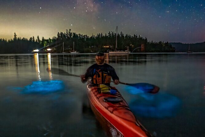 Bioluminescence Kayak Tour at Fort Flagler State Park - Who Should Consider This Tour?