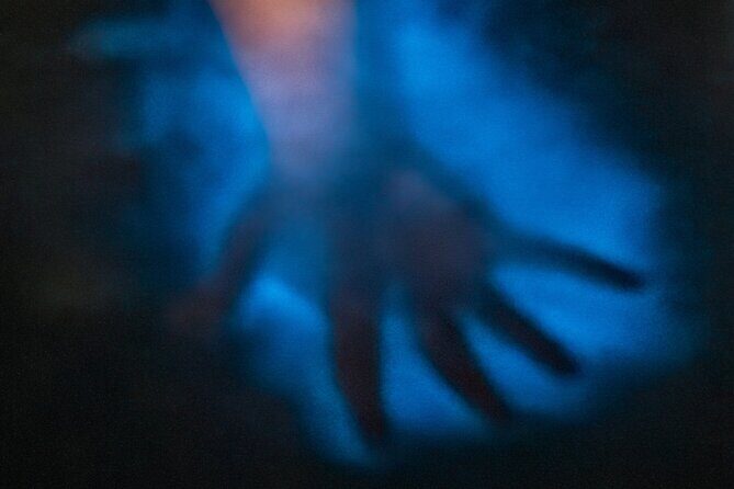 Bioluminescence Kayak Tour at Fort Flagler State Park - Authentic Feedback from Past Participants